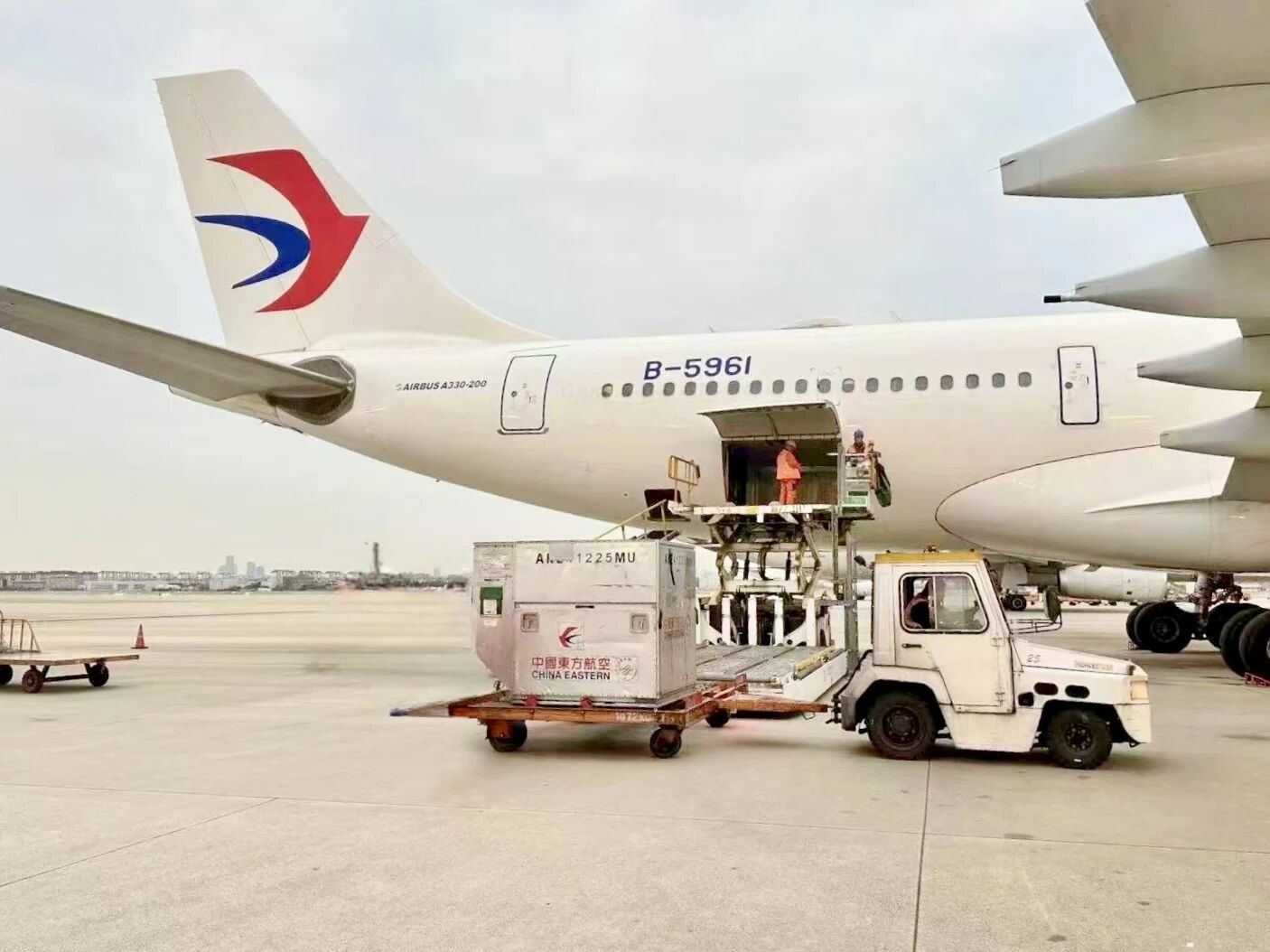 /article/detail/id/471.html